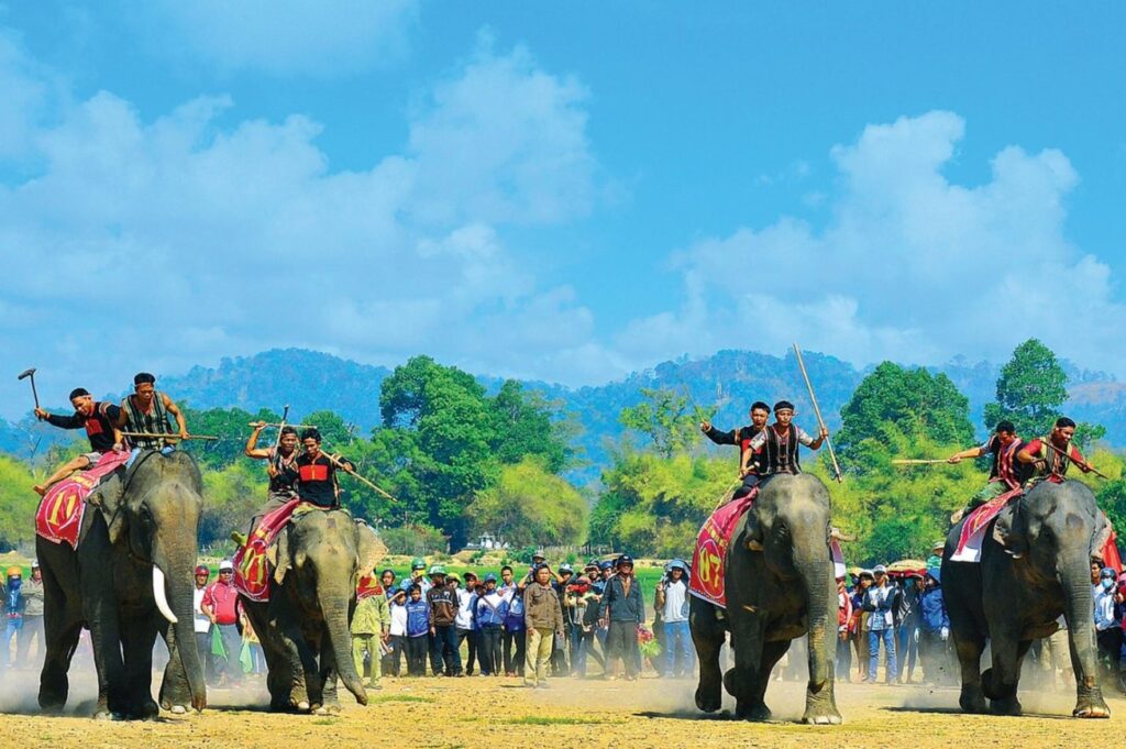 Voi Bản Đôn là ai